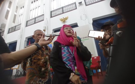 58 Ribu Kader PKK Jabar Siap Turun Tangan Tangani Penyakit Demam Berdarah