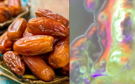 Cantik dan Bersih, Begini Tampilan Buah Kurma di Bawah Mikroskop