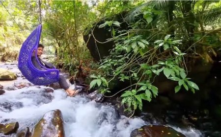 Will Smith Kepincut Wisata Keranjang Sultan Sukabumi