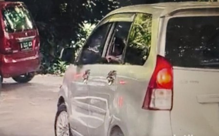 Pengunjung Taman Safari Buka Jendela di Area Kandang Singa