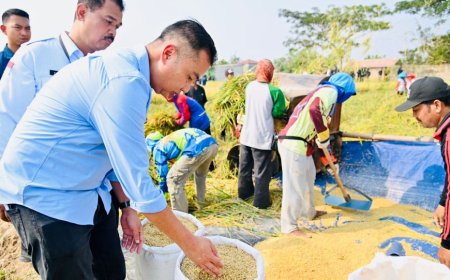 Jabar Akselerasi Perluasan Areal Tanam Sawah Tadah Hujan melalui Pompanisasi