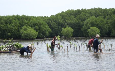 Peringati Hari Bumi Sedunia : Bio Farma Tanam 4.000 Mangrove