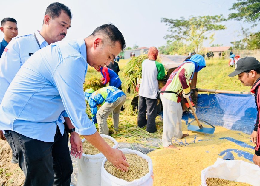 Jabar Akselerasi Perluasan Areal Tanam Sawah Tadah Hujan melalui Pompanisasi