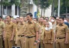 Link Pendaftaran CPNS, Formasi, Syarat, dan Jadwalnya