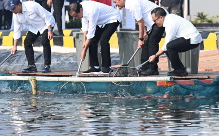 Jokowi: Permintaan Pasar Ikan Nila Capai USD14,4 miliar