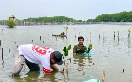 Jaga Ekosistem Laut, JNE Tanam 500 Pohon Mangrove