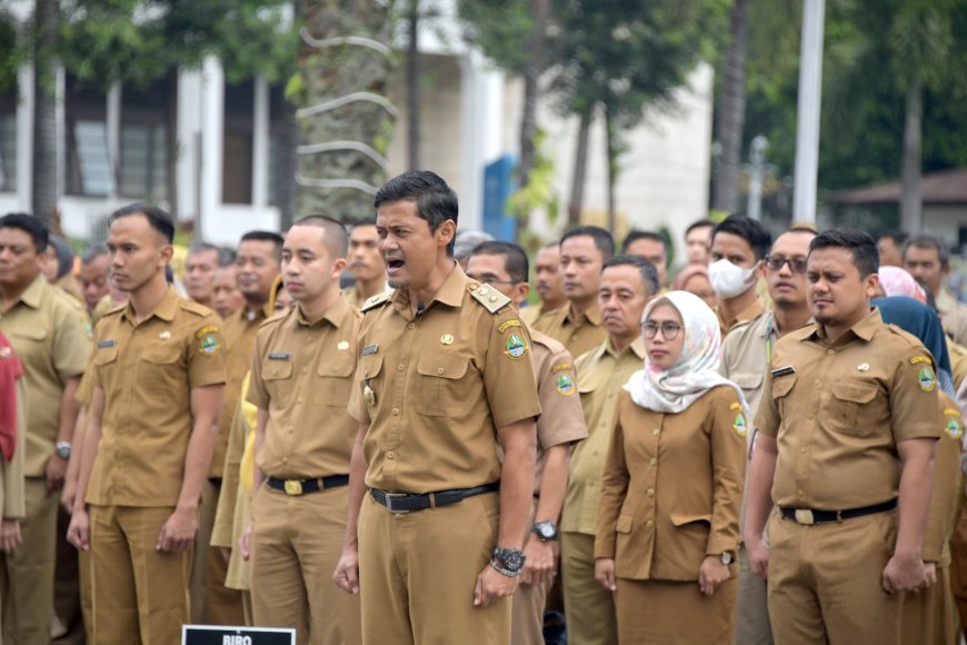 Link Pendaftaran CPNS, Formasi, Syarat, dan Jadwalnya