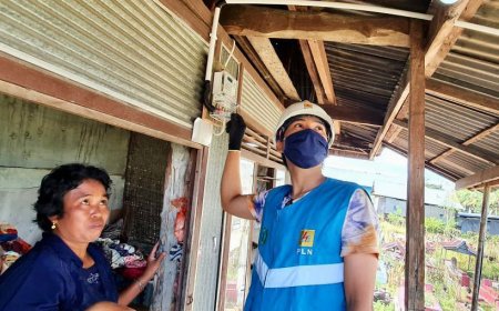 Golongan Rumah Tangga Dominasi Jumlah Pelanggan PLN