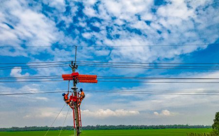 Penjualan Listrik Industri dan Bisnis Topang Peningkatan Laba Bersih PLN Hingga Rp22 Triliun