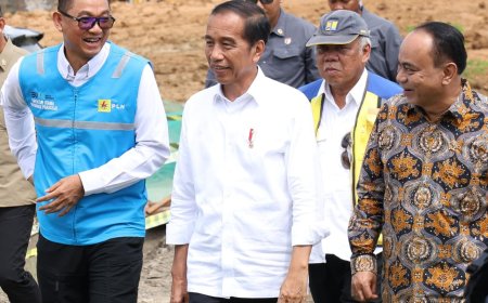 PLTS 50 MW akan Beroperasi di IKN pada HUT RI ke-78