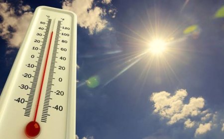 Suhu di India Capai 50 Derajat Celcius