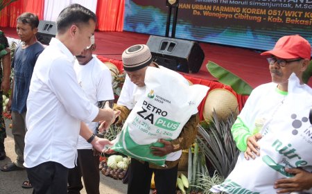Bey Machmudin Dorong Jabar Tingkatkan Produksi Bawang Merah