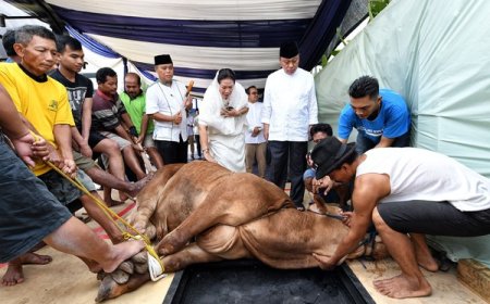 Doa dan Tata Cara Menyembelih Hewan Kurban