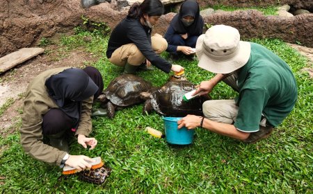 Lowongan Teenage Zookeeper Training di Bandung Zoo, Cek Syaratnya!