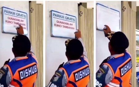 Viral Oknum Dishub Hapus Plang Parkir Gratis