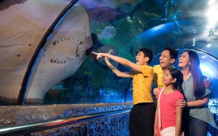 Tiket Wisata Ancol Gratis Hingga 7 Juli 2024