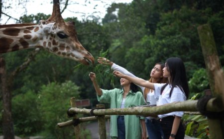 Tiket Taman Safari Bogor Berubah Mulai 1 Juli 2024