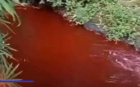 Air Sungai Ini Berwarna Darah