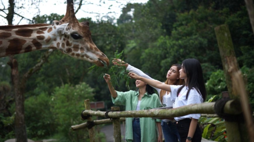 Tiket Taman Safari Bogor Berubah Mulai 1 Juli 2024