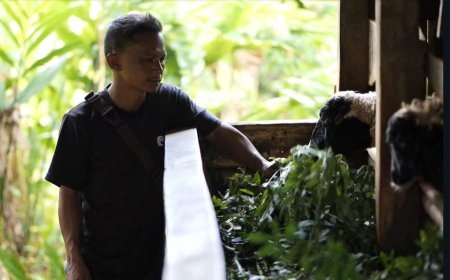 Pengembangan Biomassa PLN di Tasikmalaya: Dikelola Masyarakat, Didukung Pemerintah