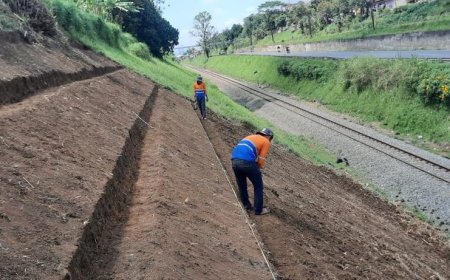 Antisipasi Longsoran, 9.236 Akar Wangi Vetiver Ditanam di Lereng Bukit dan Jembatan Kanan - Kiri Jalur Rel