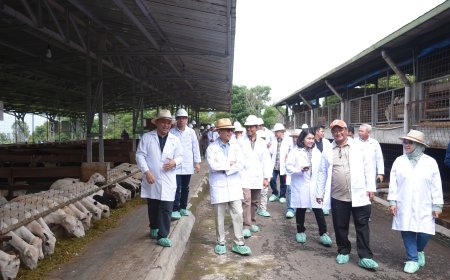 OJK Jabar Berhasil Kembangkan Ekosistem Pembiayaan Peternak Domba