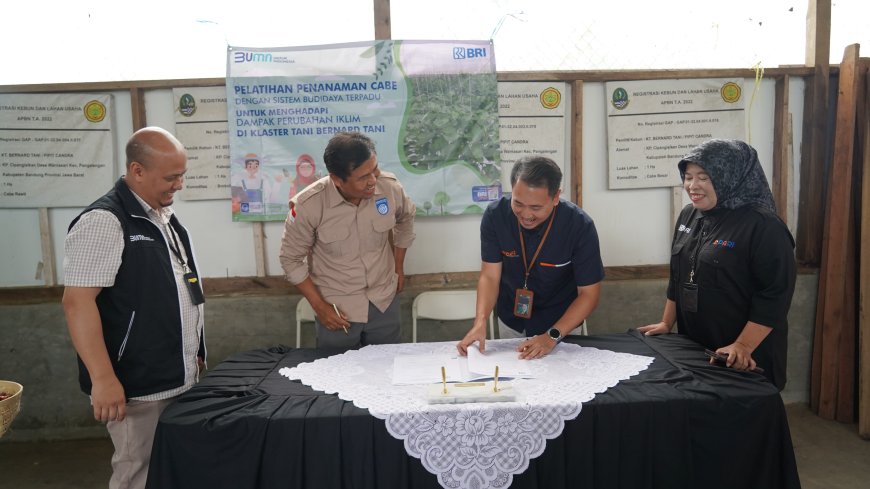 BRI Regional Office Bandung Salurkan Bantuan untuk Klaster Unggulan Hortikultura di Kabupaten Bandung dan Garut