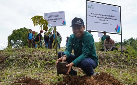 PLN Energizing Green Spaces: 1.400 Pohon untuk Indonesia yang Lebih Hijau