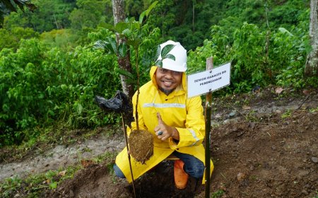 PLN Tanam 106.236 Pohon di Sekitar Proyek PLTA Upper Cisokan