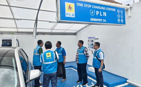 Pelanggan Puas dengan Layanan dan Infrastruktur PLN