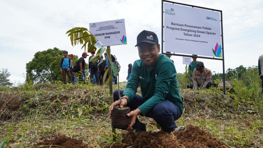 PLN Energizing Green Spaces: 1.400 Pohon untuk Indonesia yang Lebih Hijau