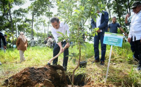 Bey Machmudin : 24 Ribu Bibit Produktif di Cikanyere Harus Dijaga!