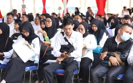 Cara Cek Pengumuman Hasil Seleksi CPNS 2024, Lengkap!