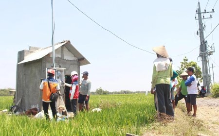 Bisa Tekan Biaya Operasional, Electrifying Agriculture PLN Tembus 53.539 Pelanggan Baru di Tahun 2024