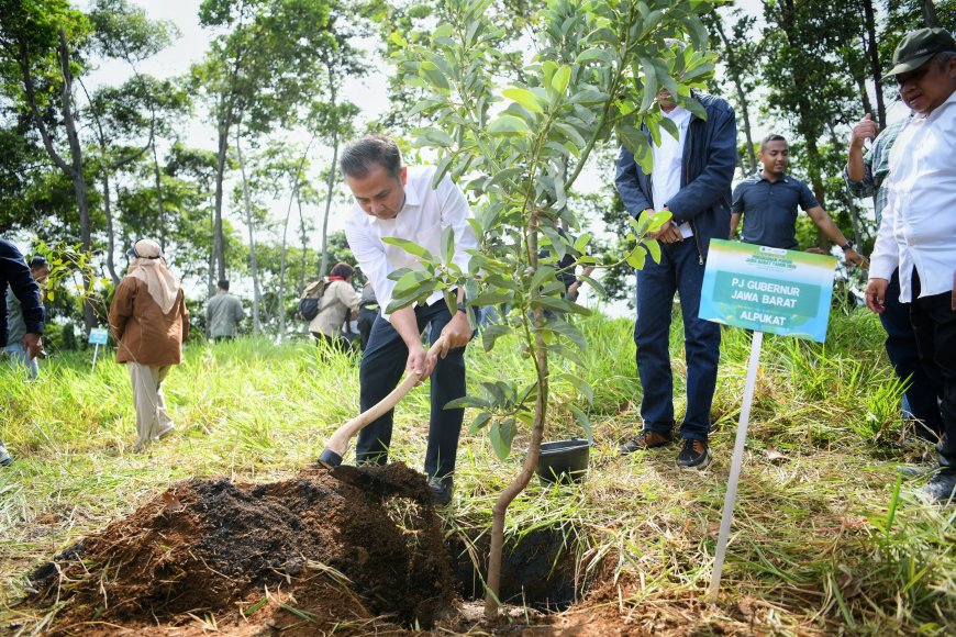 Bey Machmudin : 24 Ribu Bibit Produktif di Cikanyere Harus Dijaga!