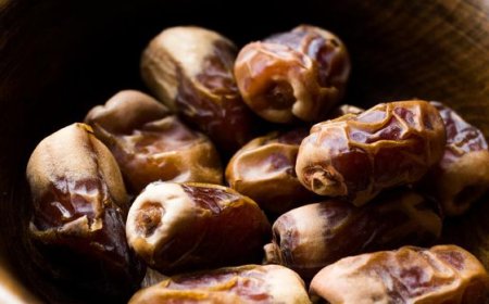 Mengenal Kurma Terbaik di Dunia, dari Medjool hingga Ajwa