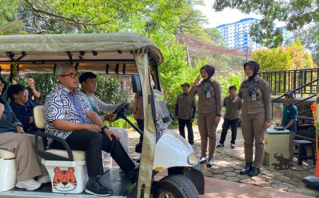 Cek Kesiapan Libur Lebaran, Farhan Beri Nama Bayi Orangutan dan Tinjau Pengolahan Sampah Bandung Zoo