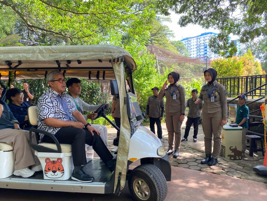 Cek Kesiapan Libur Lebaran, Farhan Beri Nama Bayi Orangutan dan Tinjau Pengolahan Sampah Bandung Zoo