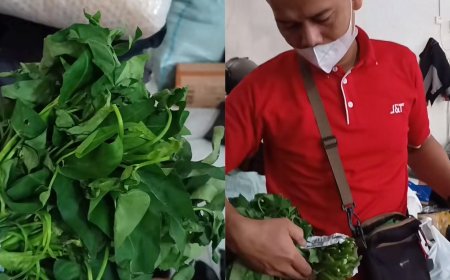 Viral Kurir Ini Harus Kirim Paket Seikat Kangkung
