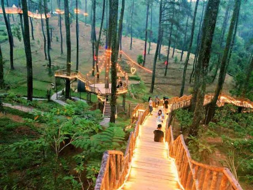 Destinasi Wisata Ramah Hewan Peliharaan di Bandung