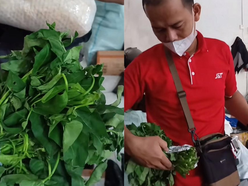 Viral Kurir Ini Harus Kirim Paket Seikat Kangkung