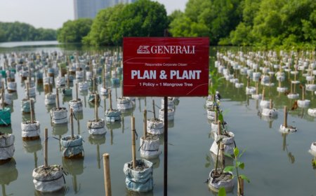 Generali Indonesia Tanam 15.200 Mangrove, Serap 4,5 Juta Kg Emisi Karbon