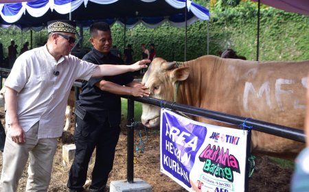JNE dan TIKI Tebar 213 Hewan Kurban di Idul Adha 1446 H, Sat Set Berbagi hingga Diskon Kirim Internasional