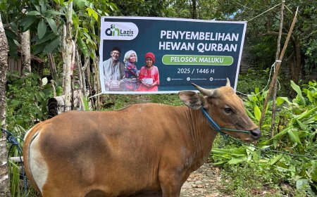 Lazis Darul Hikam Salurkan 53 Hewan Qurban hingga Palestina dan Pelosok Nusantara