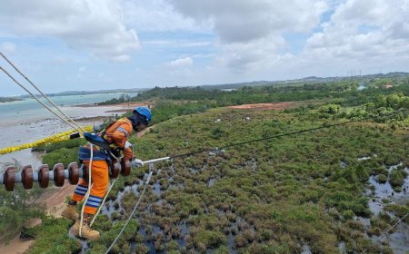 Wujud Kontribusi ke Negara, PLN Setor Rp65,59 Triliun Lewat Dividen, Pajak, dan PNBP