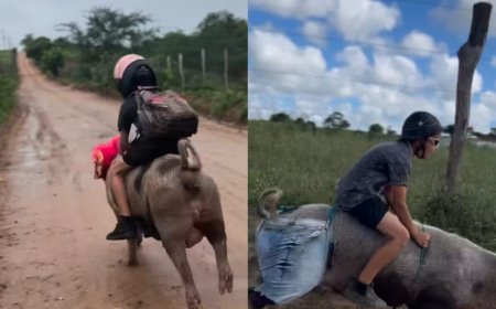 Naik Babi ke Sekolah, Aksi Unik Bocah Brasil Ini Bikin Netizen Gemas dan Kagum