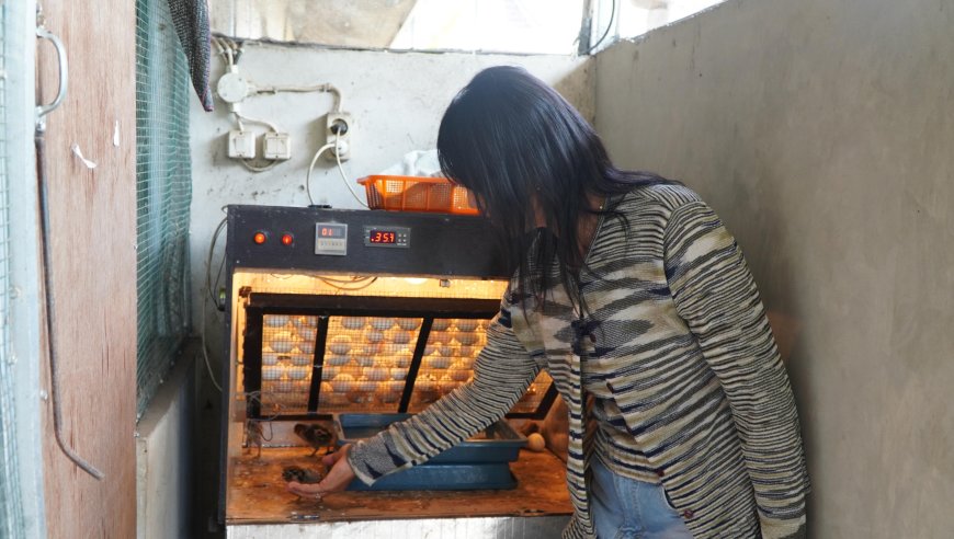 Pertamina Foundation Gelontorkan Rp3 Miliar untuk Inovasi Riset Berkelanjutan