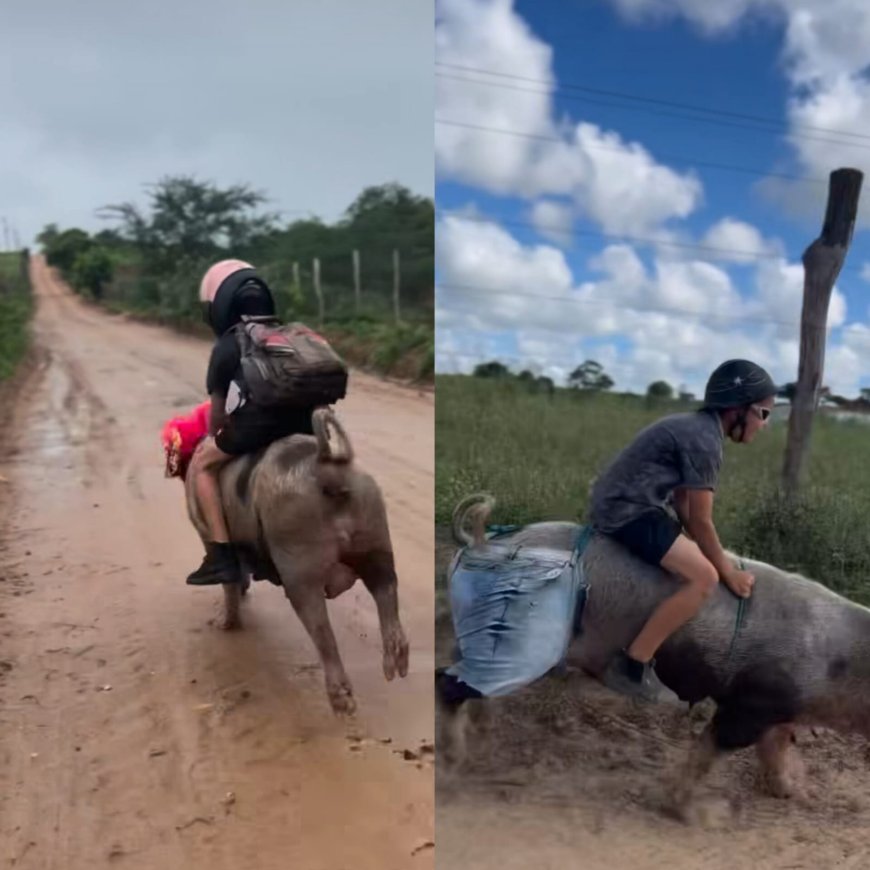 Naik Babi ke Sekolah, Aksi Unik Bocah Brasil Ini Bikin Netizen Gemas dan Kagum