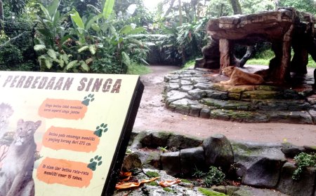 Bandung Zoo di Ambang Konflik, SPMD Siap Jadi Garda Terdepan Pembela Konservasi