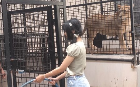 Bandung Zoo Cetak Generasi Peduli Satwa Lewat Program Junior Keeper Training
